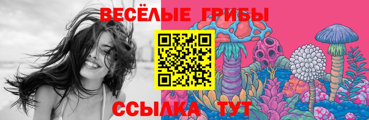 Жуковский  Псилоцибиновые грибы мухоморы  Вход с VPN 