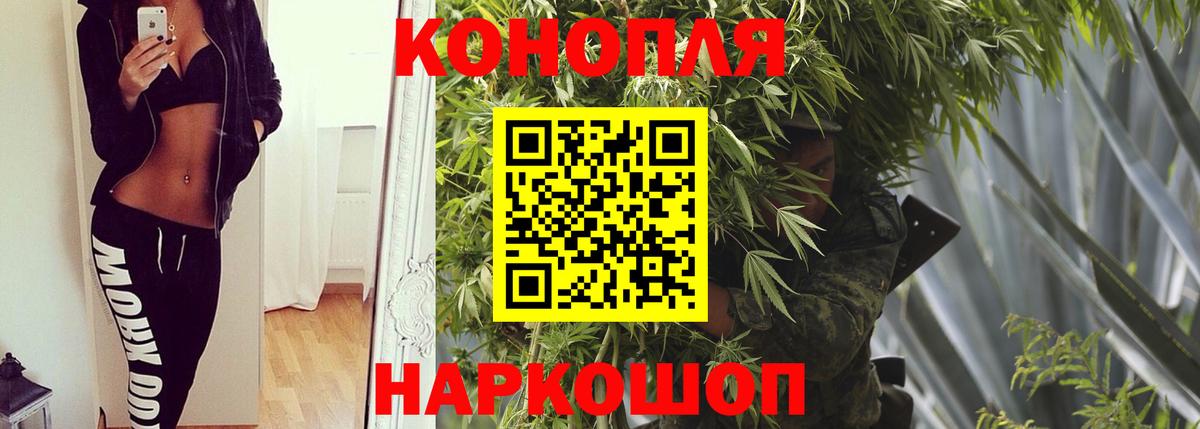 Бошки марихуана планчик  Вход с VPN  Жуковский  Канабис план 